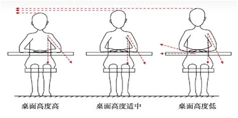 毛小孩的意思 椅子跟桌子高度